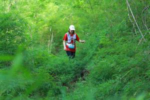 BIB: 
                            <button type="button" onclick="openModal(22096516)" class="btn btn-primary btn-sm float-right btn-popup" data-toggle="modal" data-target=".modal-high-quality">
                        <i class="fas fa-shopping-cart"></i> Add to Cart
                    </button>
                                            <button type="button" onclick="isThisMe(22096516, true)" class="btn btn-success btn-sm float-right btn-popup btn-isme hidden" data-toggle="tooltip" data-placement="bottom" title="นี่คือรูปของคุณใช่ไหม คลิกที่นี่เพื่อเอาเข้าอัลบั้ม">
                        <i class="fas fa-plus"></i> Add to album
                    </button>
                    <button type="button" onclick="isThisMe(22096516, false)" class="btn btn-warning btn-sm float-right btn-popup btn-isnotme hidden">
                        <i class="fas fa-ban"></i> Remove from album
                    </button>